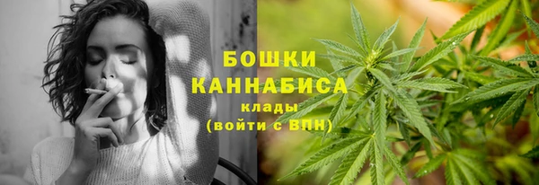 индика Бородино